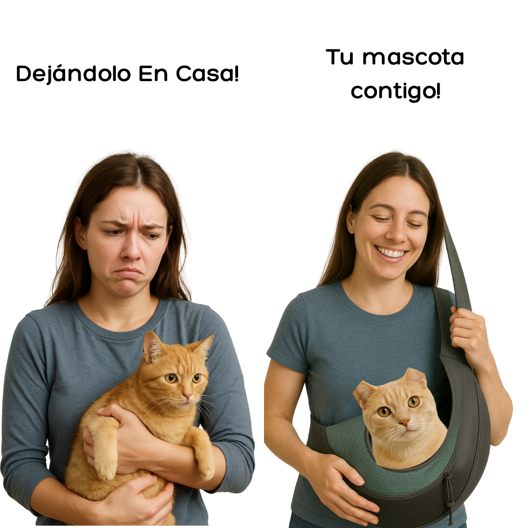 PetGo®: lleva a tu perro o gato contigo y recibe GRATIS un peine removedor de pelo!