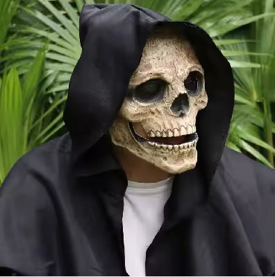 💀✨Maestro Calavera™ 💀