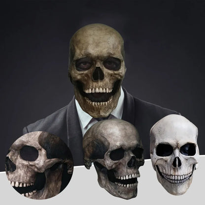 💀✨Maestro Calavera™ 💀