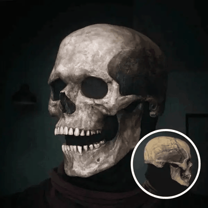 💀✨Maestro Calavera™ 💀